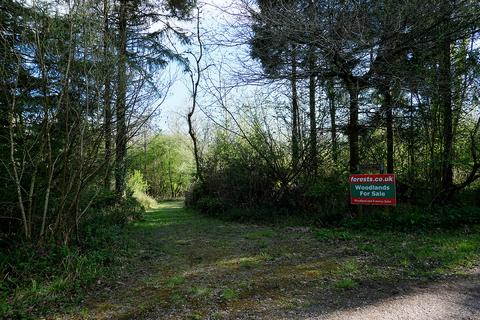 Woodland for sale, Pinkwood Lane, Bruton BA10
