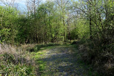 Woodland for sale, Pinkwood Lane, Bruton BA10