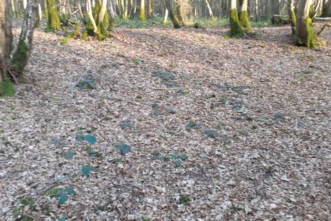 Land for sale, Land at Wissenden Lane, Bethersden, TN26