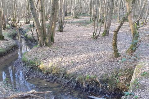 Land for sale, Land at Wissenden Lane, Bethersden, TN26