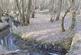 Land at Wissenden Lane, Bethersden, TN26