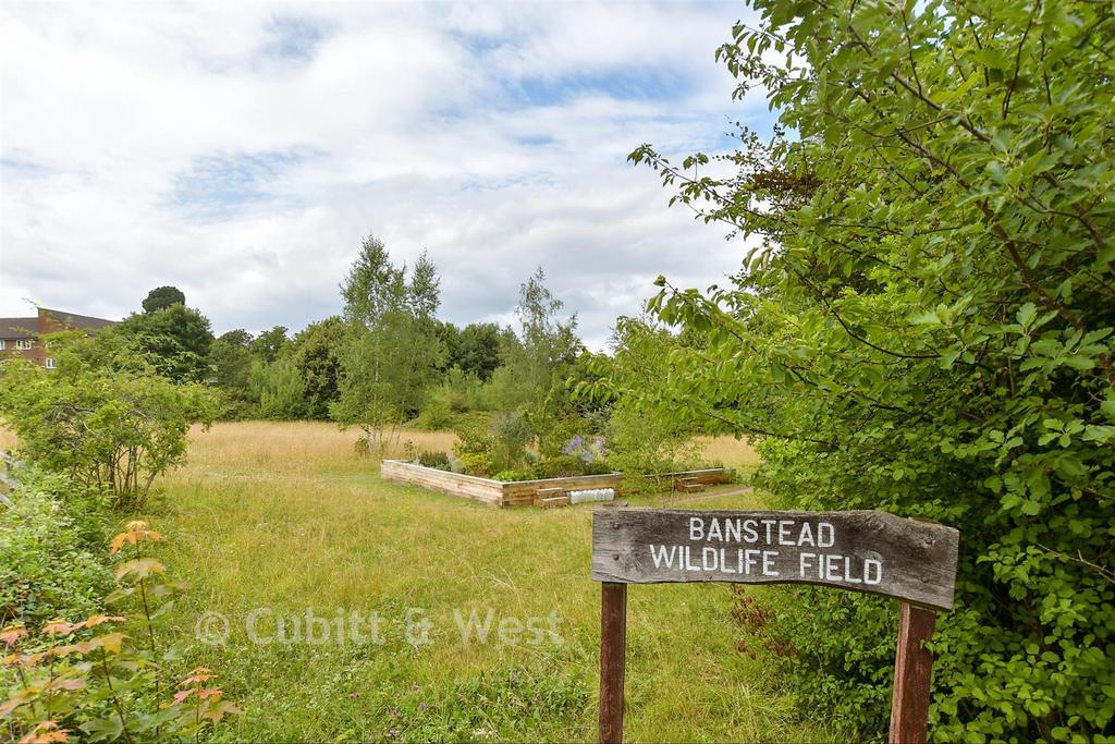 Surrounding Area