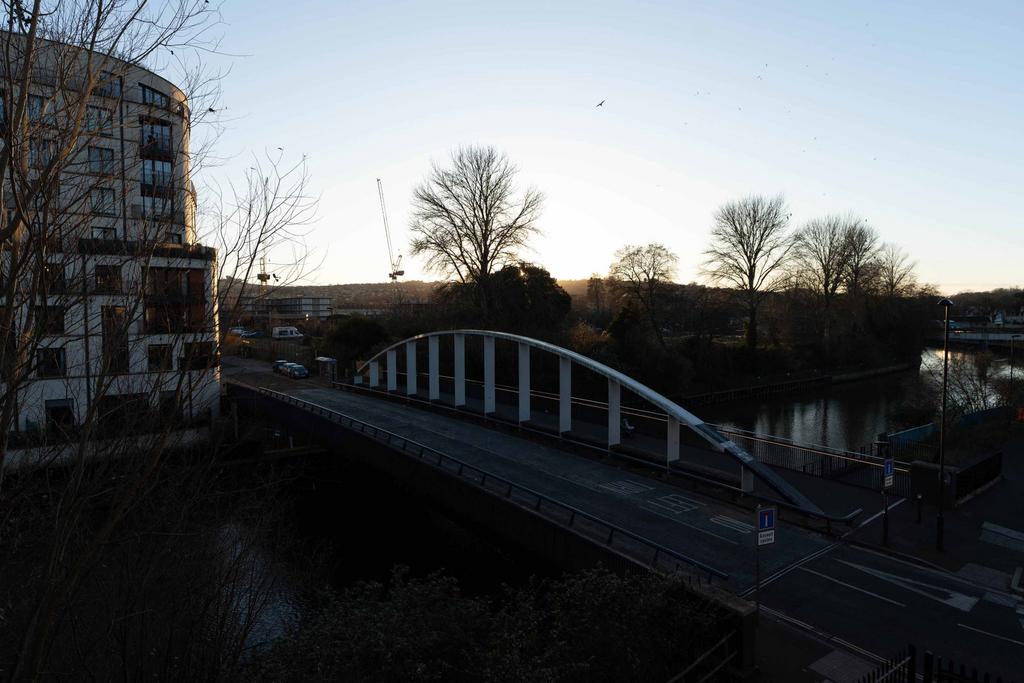 8395237.jpg
