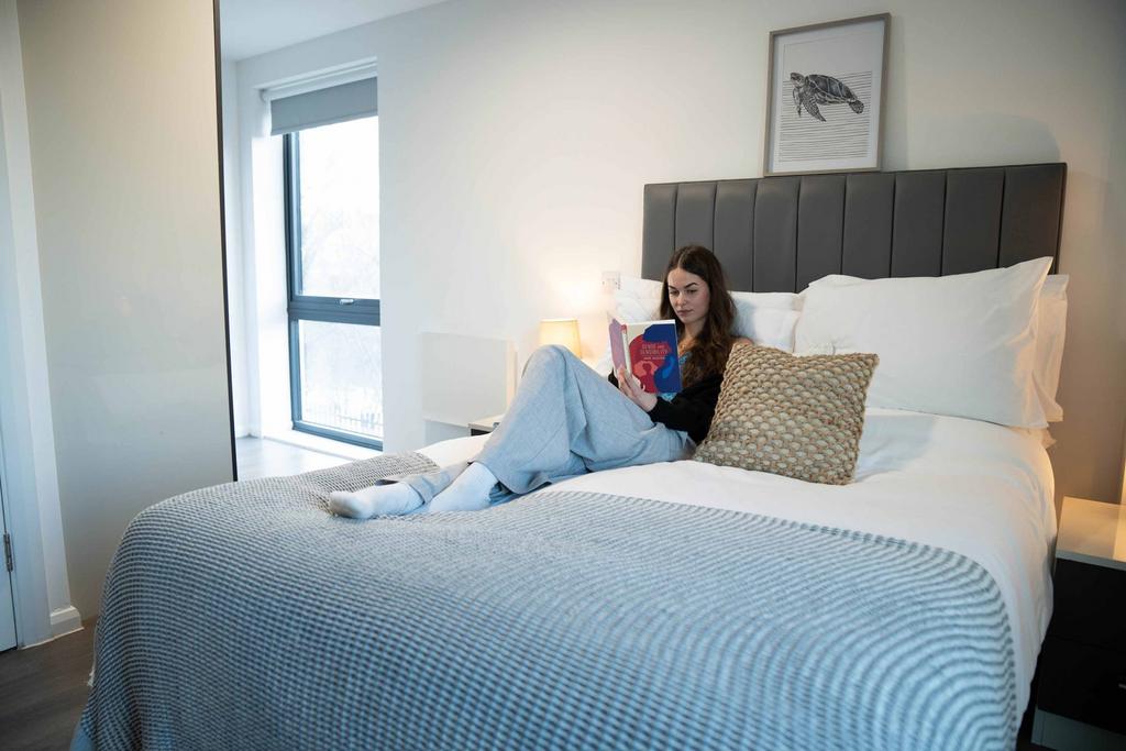 8396652.jpg