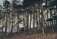 Additional image 80 of Llanwrthwl