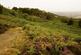 Additional image 88 of Llanwrthwl