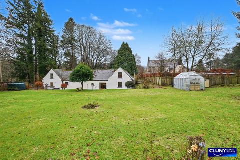 undefined, Botriphnie Stables, Drummuir