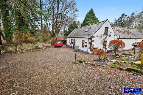 undefined, Botriphnie Stables, Drummuir