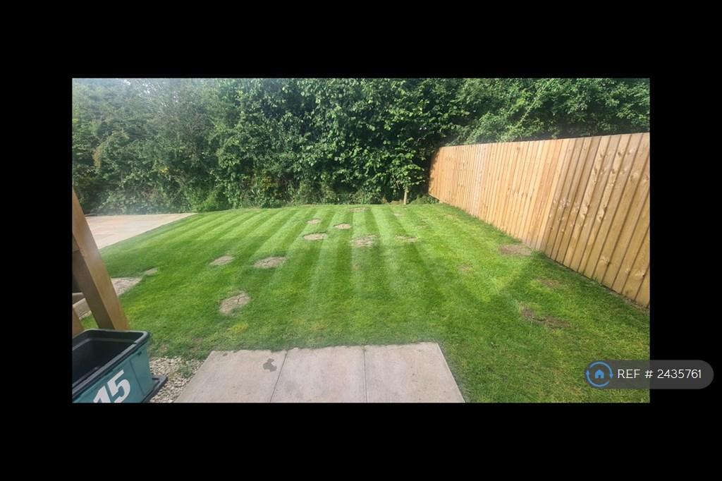 Back Garden