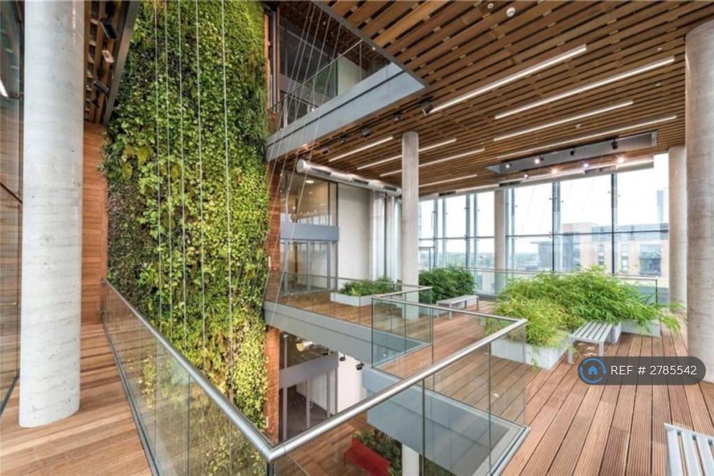 Living Spaces With Plants From Kew Gardens