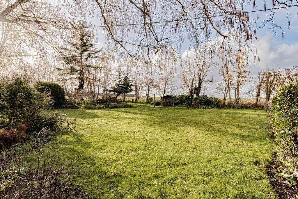 Garden (5)