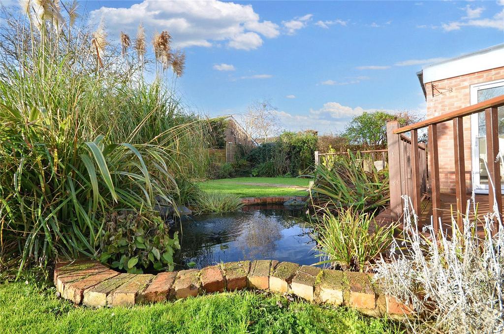 Carp Pond