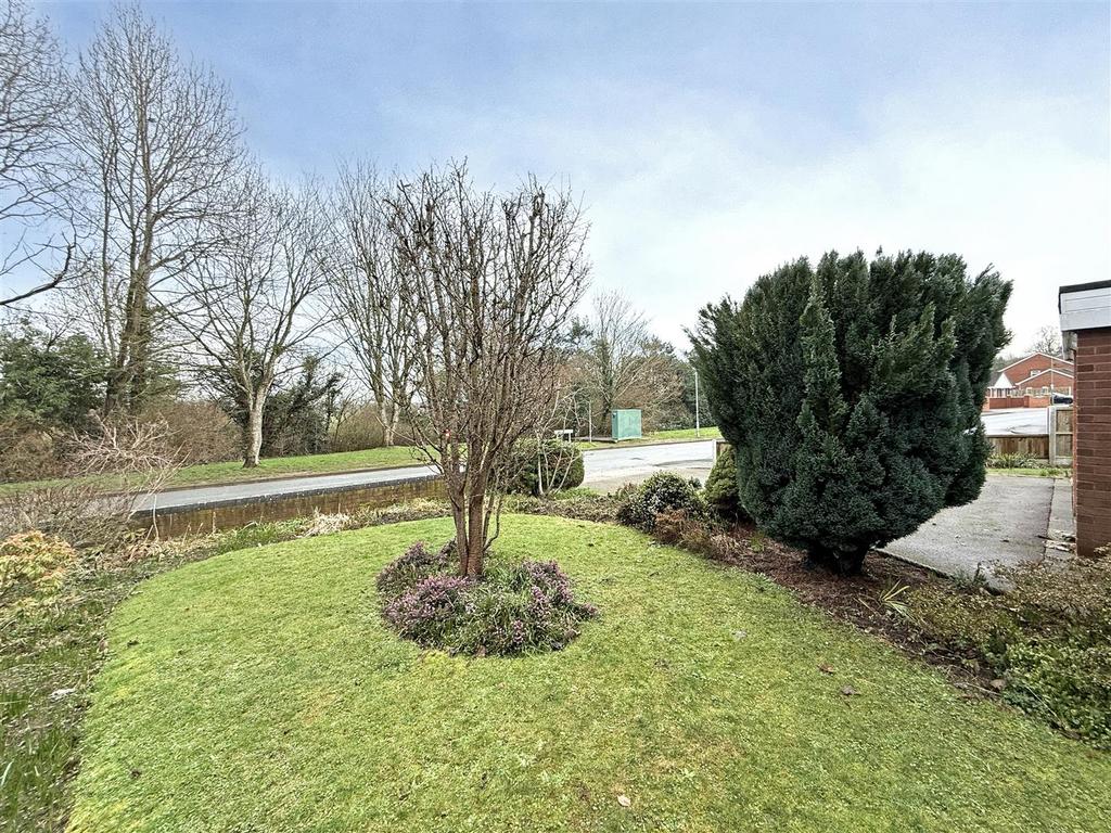 IMG 8804.jpg