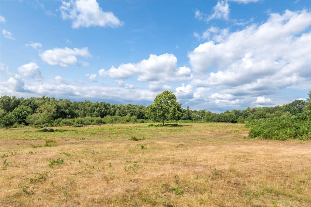 Chailey Common