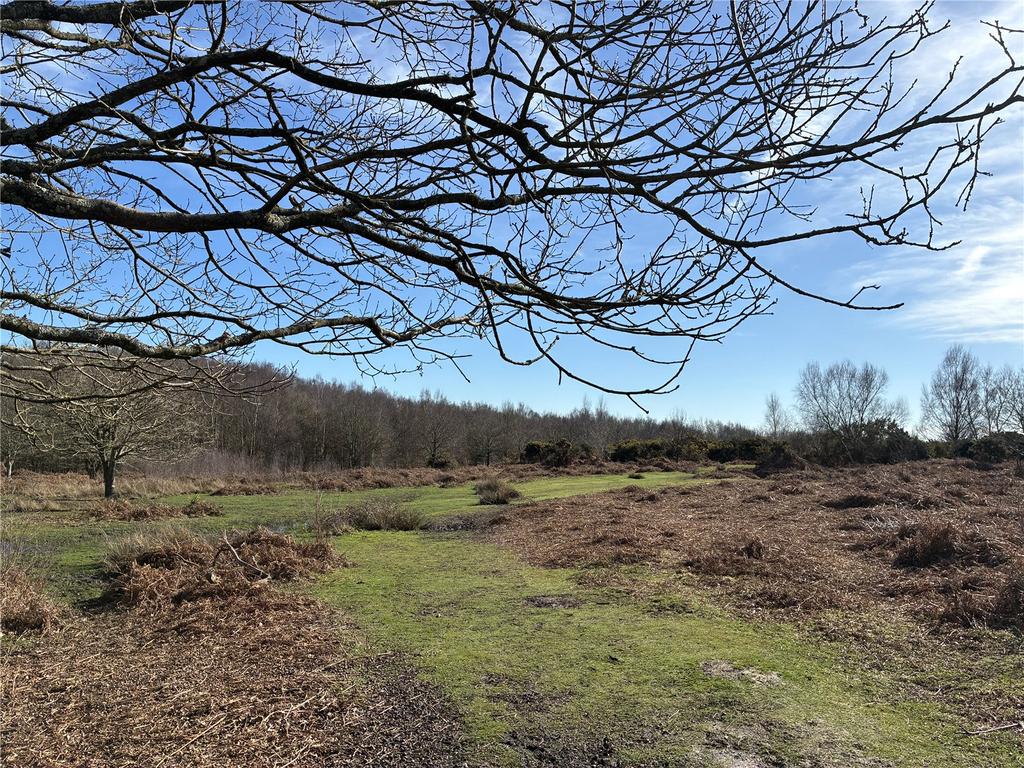 Chailey Common