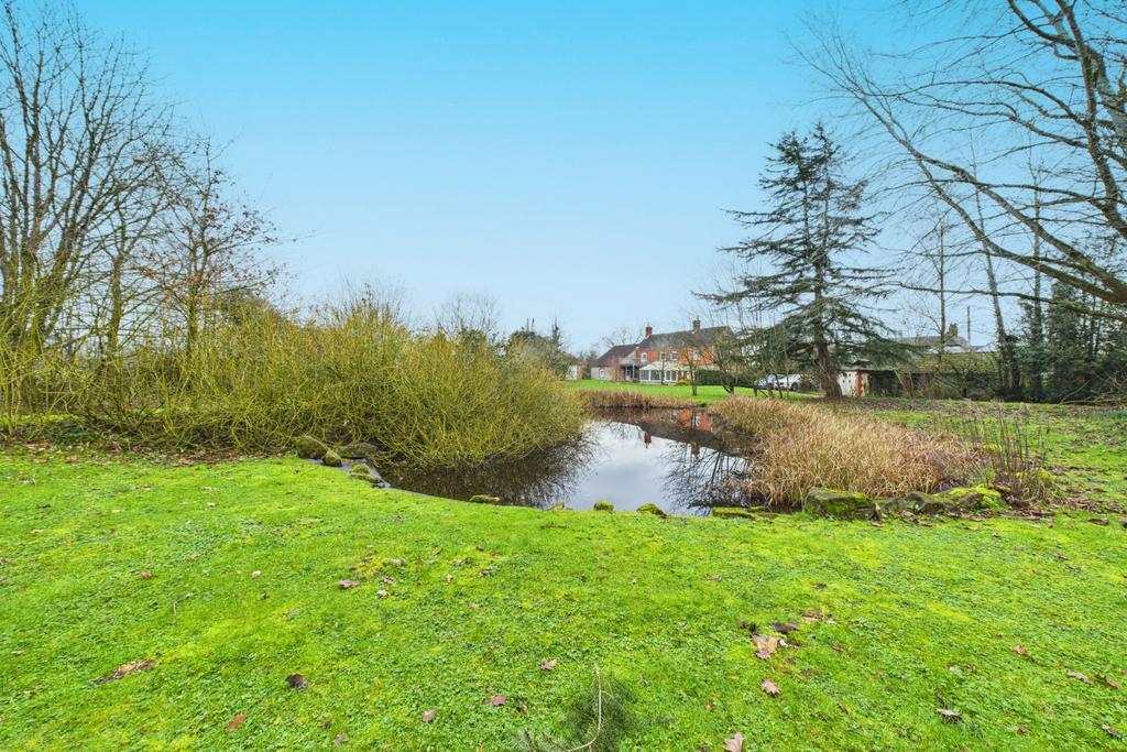 Garden &amp; Pond