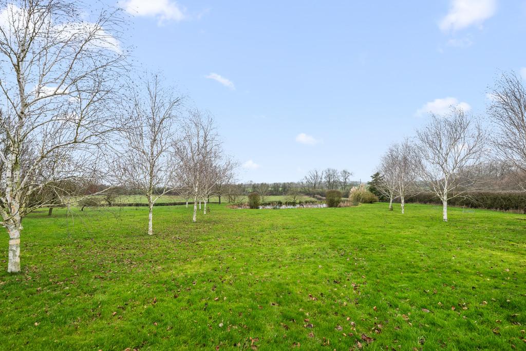 Garden 2