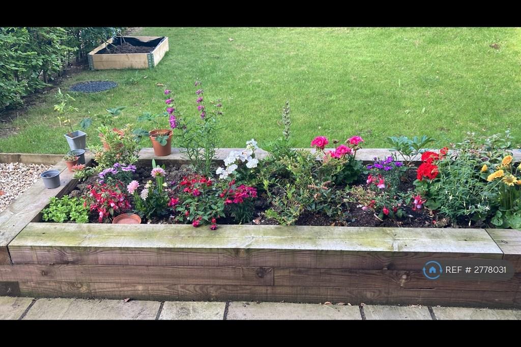 Flower Bed (Garden)