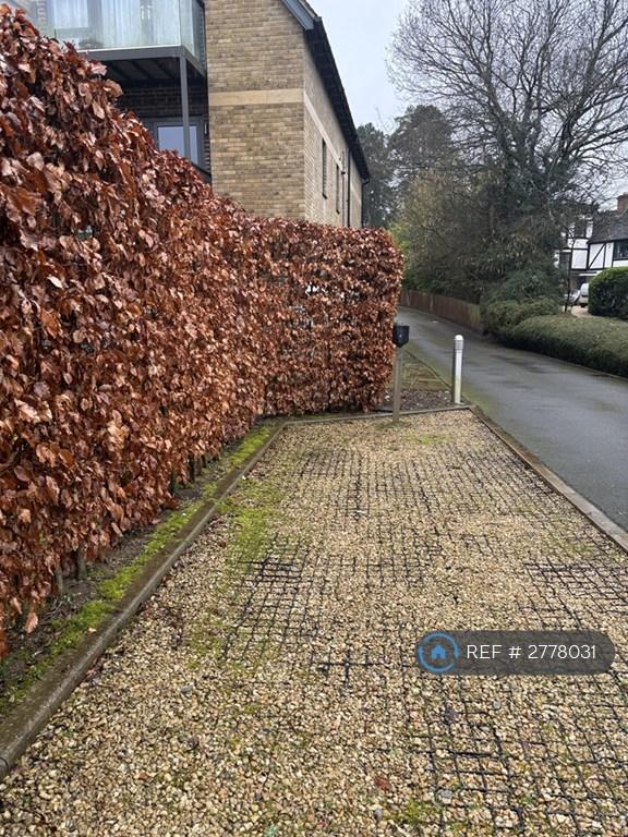 Driveway Parking