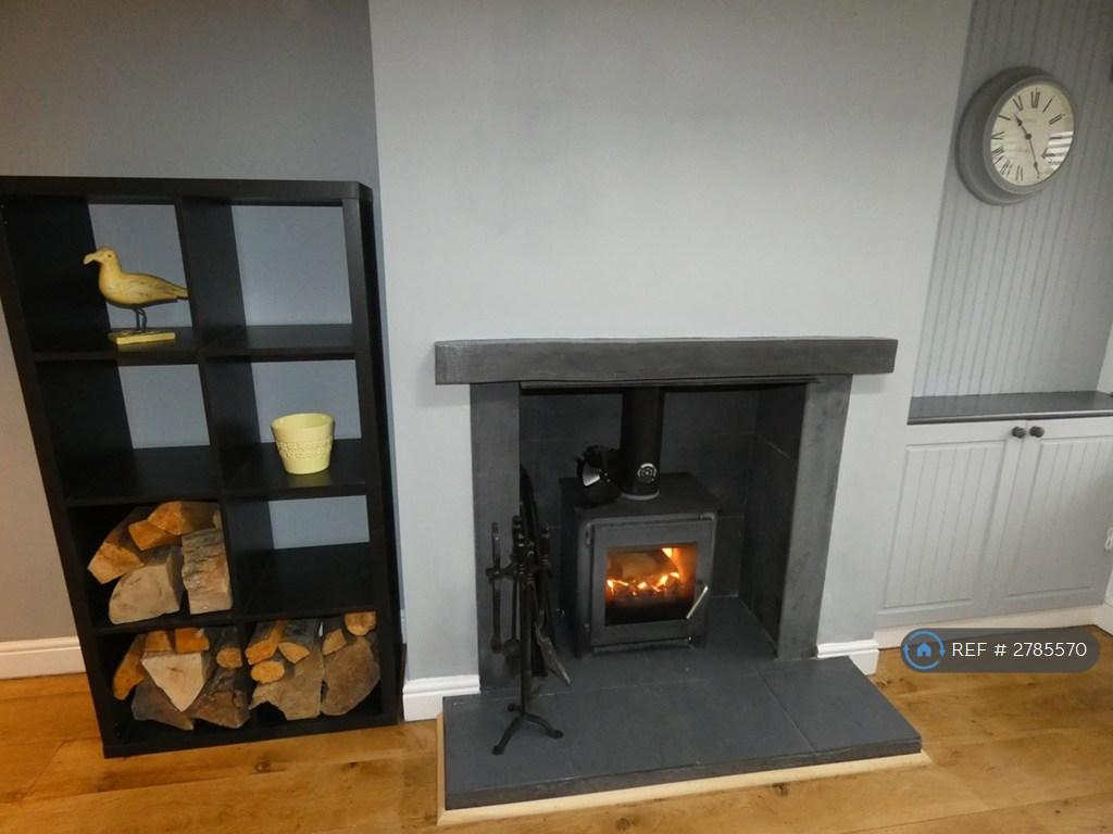 Log Burner
