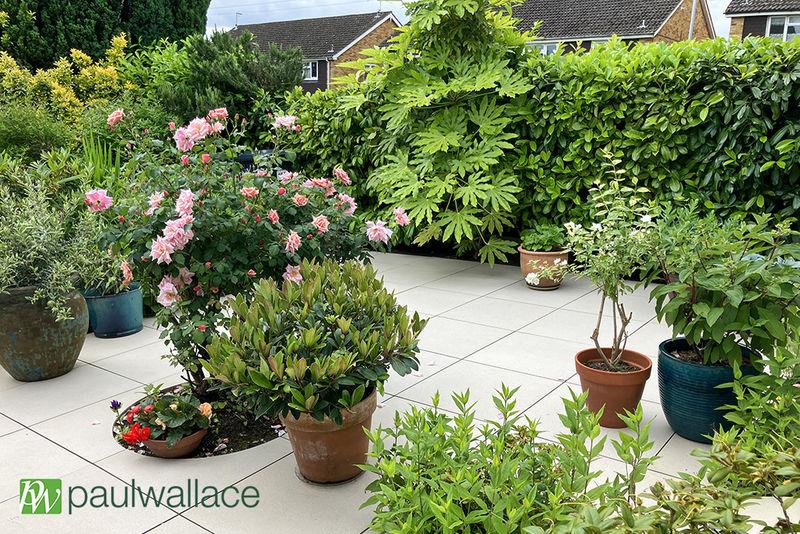 Front Garden