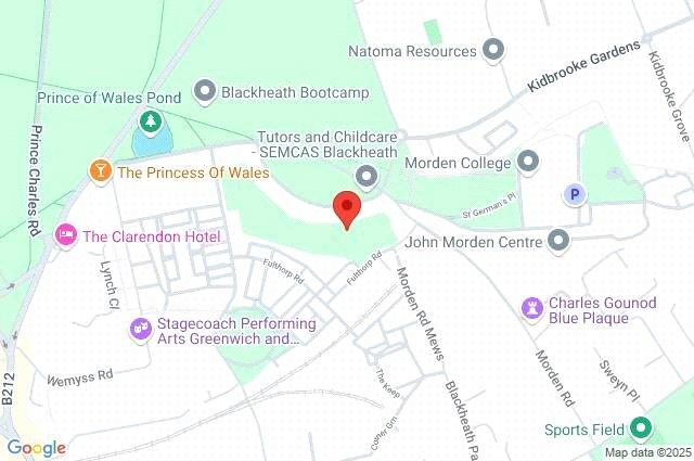 Google Maps Image