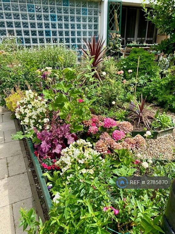Communal Gardening Space