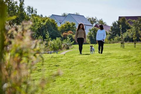 undefined, Parley House  - Plot 132 at Canford Vale, Canford Vale, Knighton Lane BH11