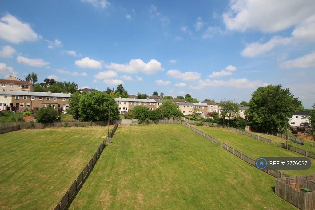 Back Garden