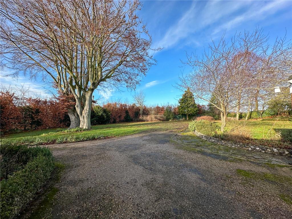 Driveway