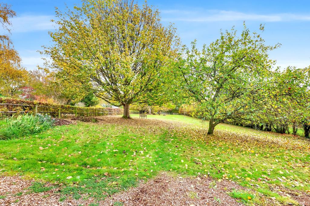 Lower Garden