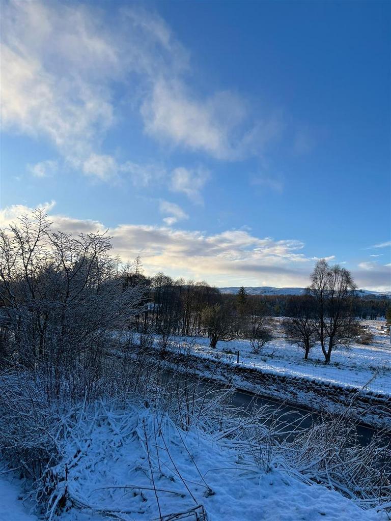 Winter view