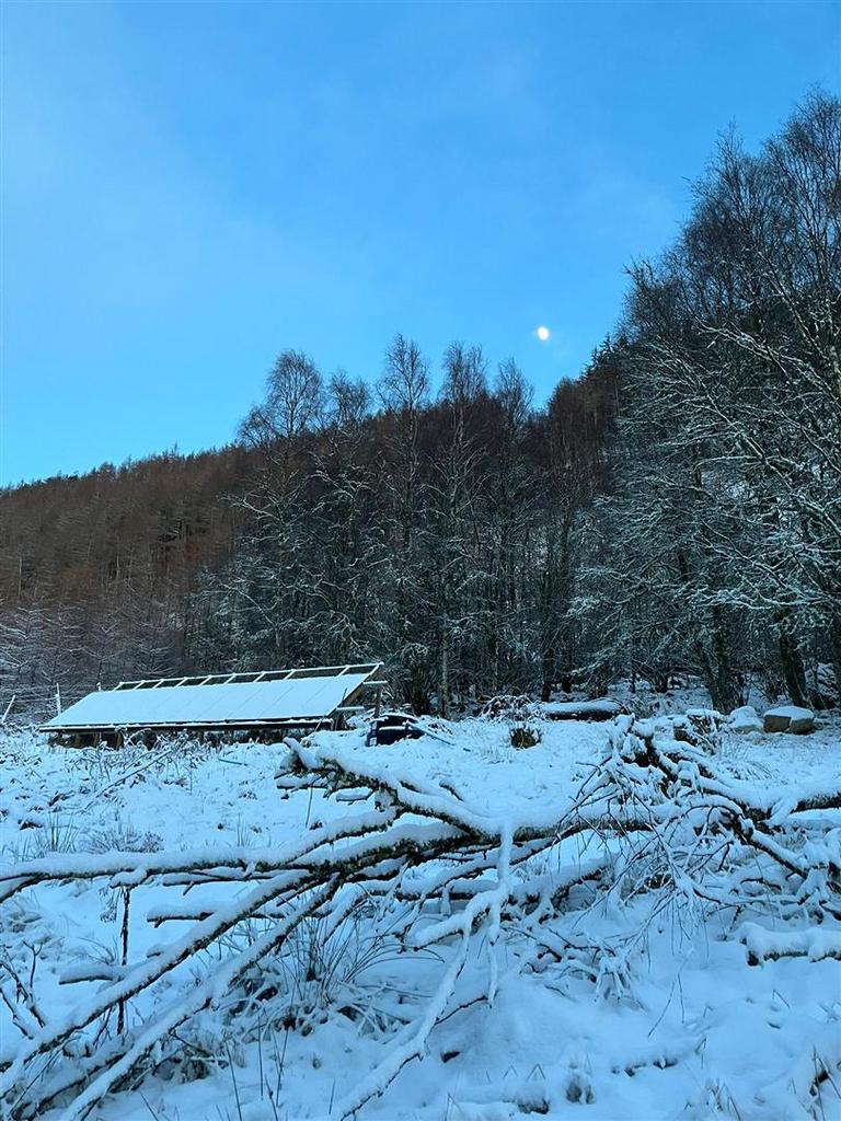 Winter view