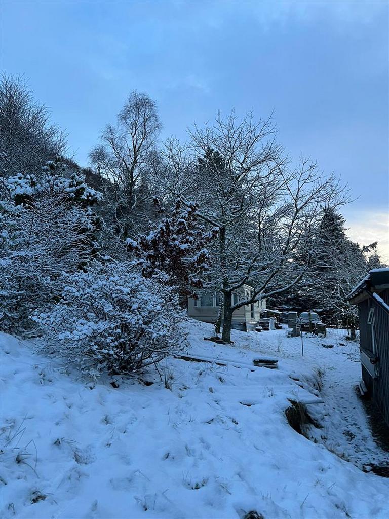 Winter view