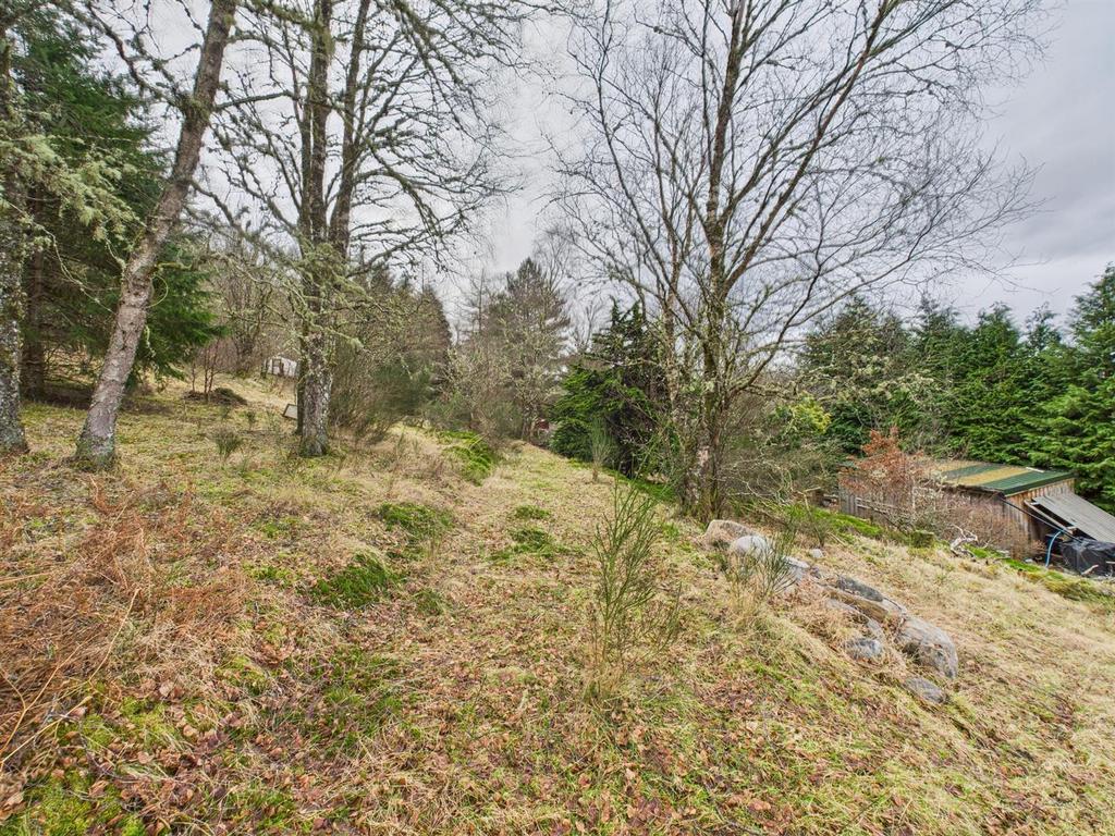 Rear of plot