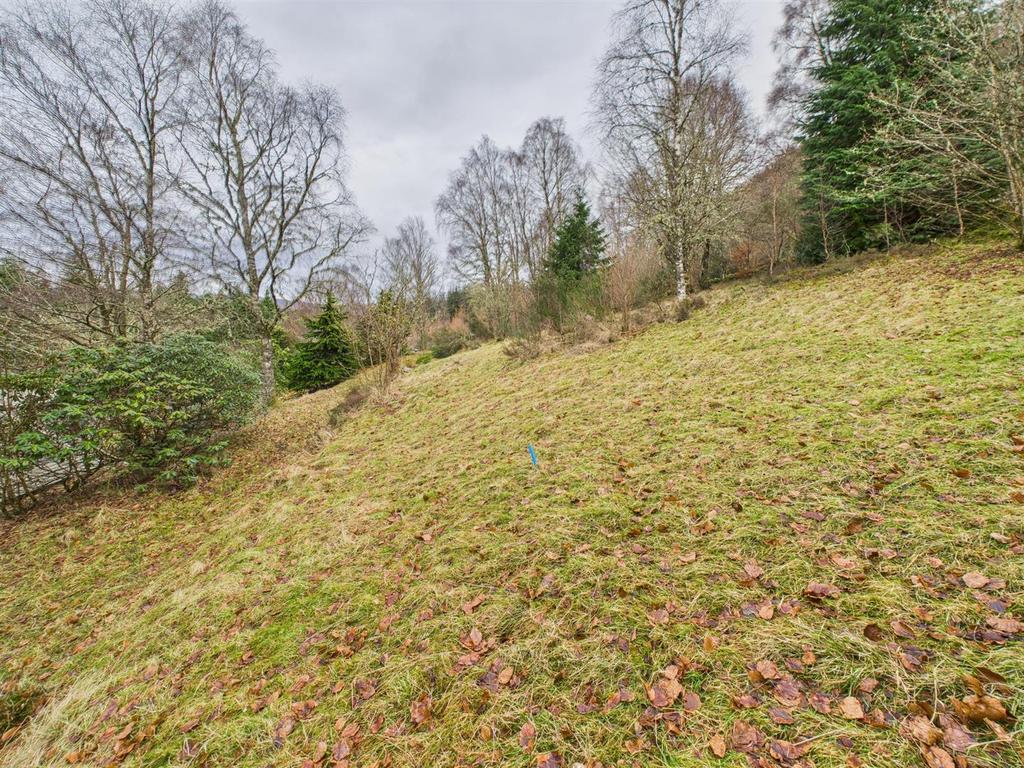 Rear of plot
