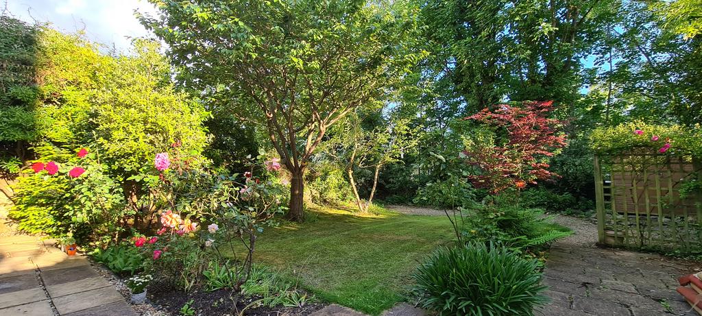 Garden summer