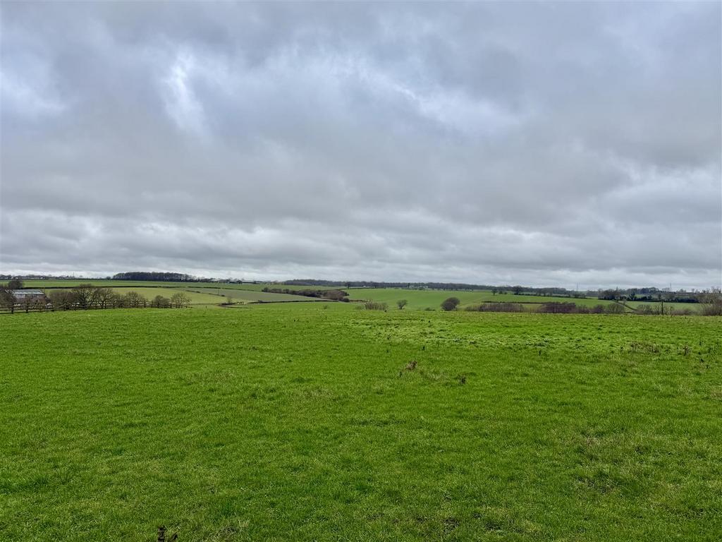 Views from Rear Garden