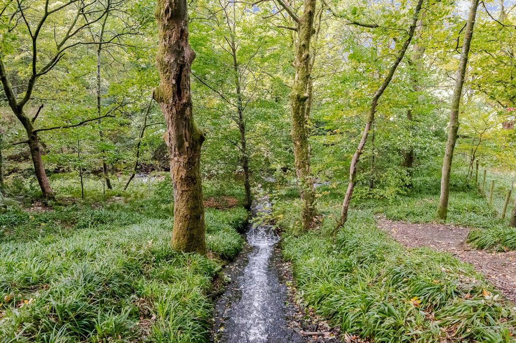 Surrounding countryside