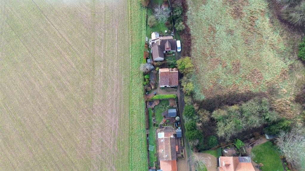 DJI 0660.jpg