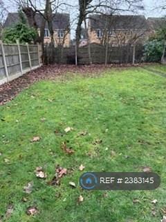 Back Garden