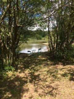 undefined, Bwlchgwyn, Wrexham