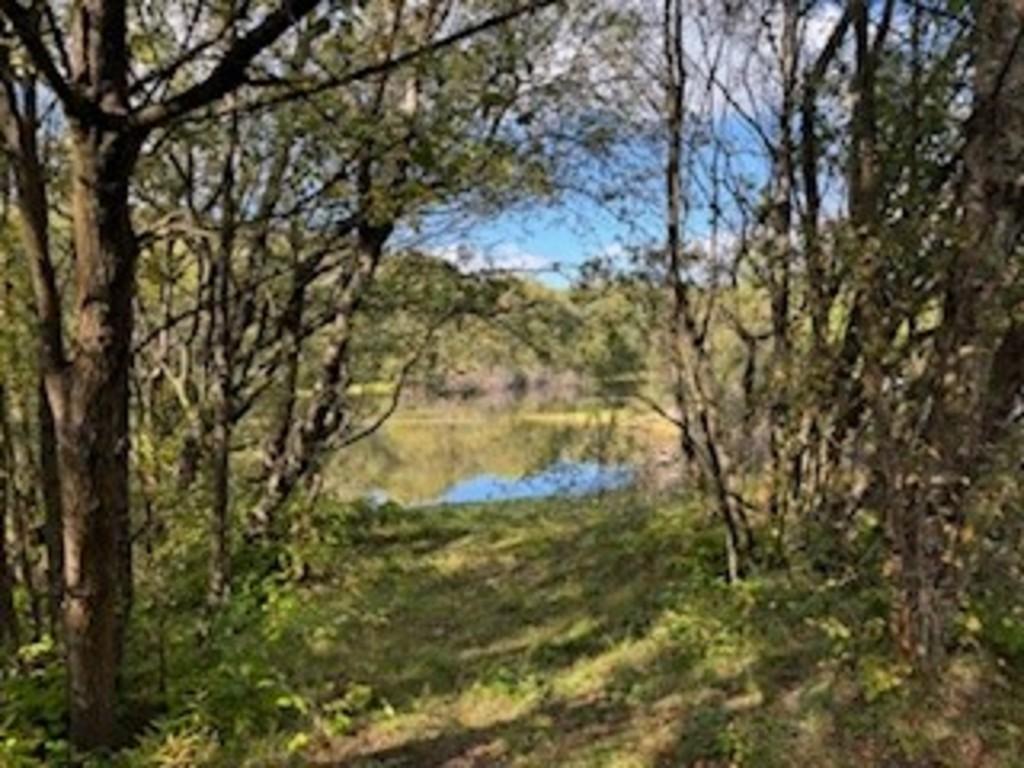 Lake Song 6
