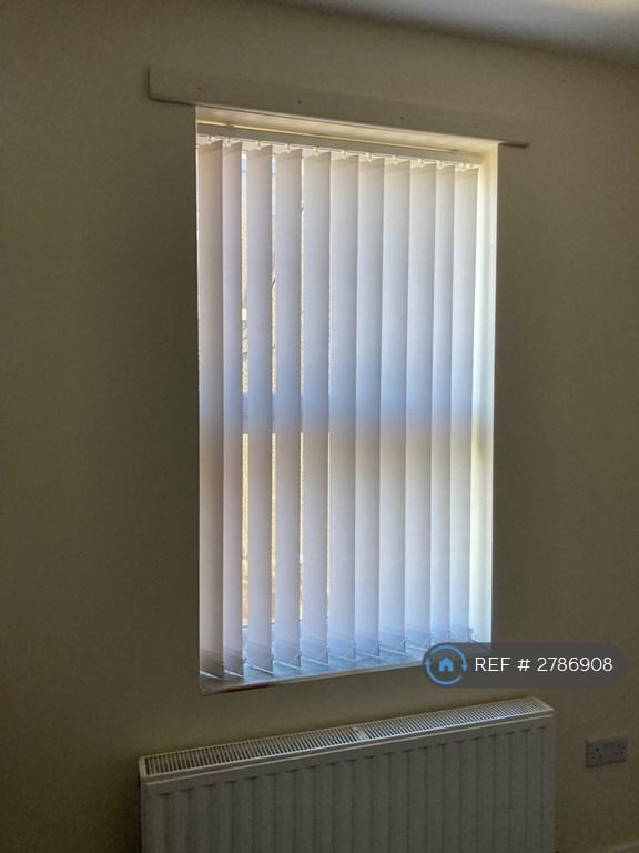 New Blinds