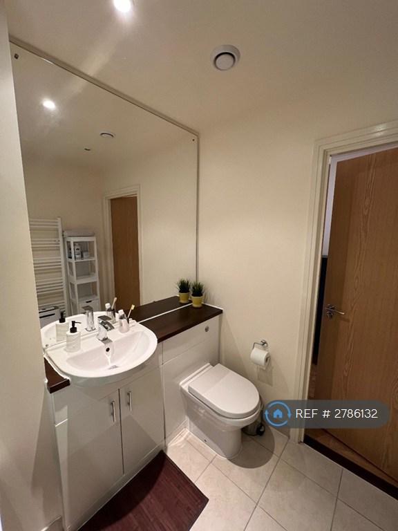Main Toilet / Tub / Shower Toilet