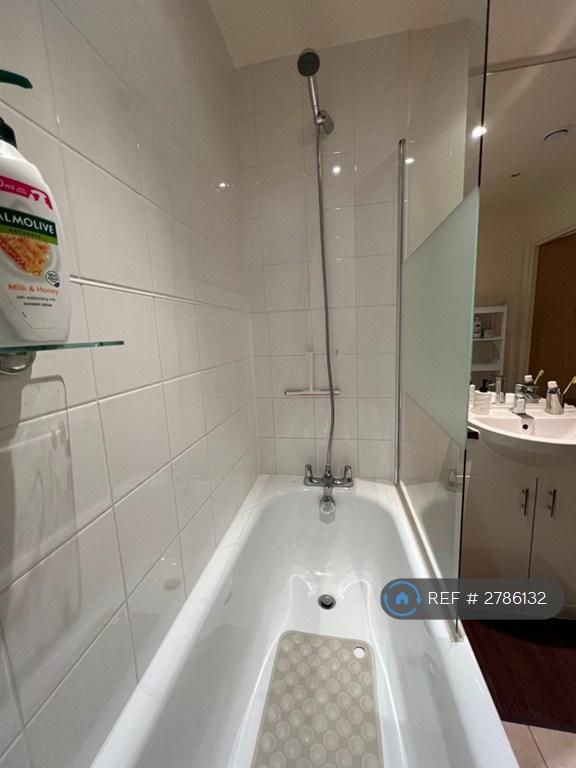 Main Toilet / Tub / Shower Toilet