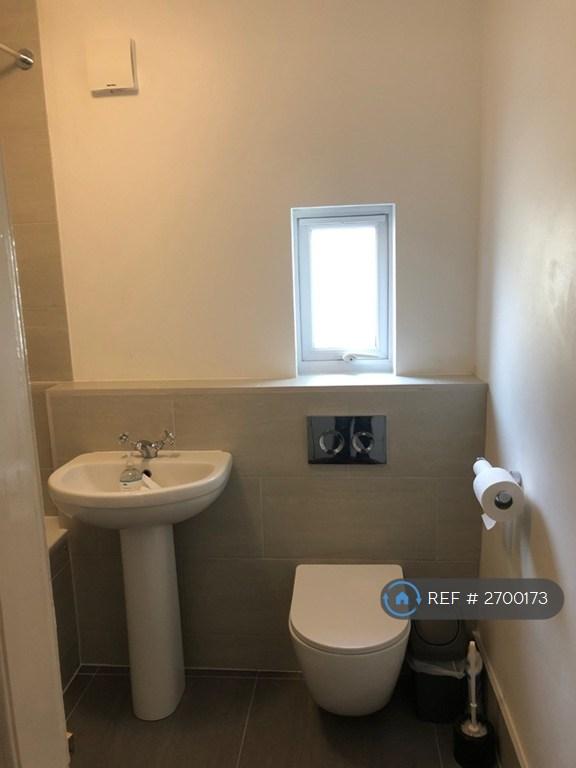 Wall Hung Toilet Main Bathroom