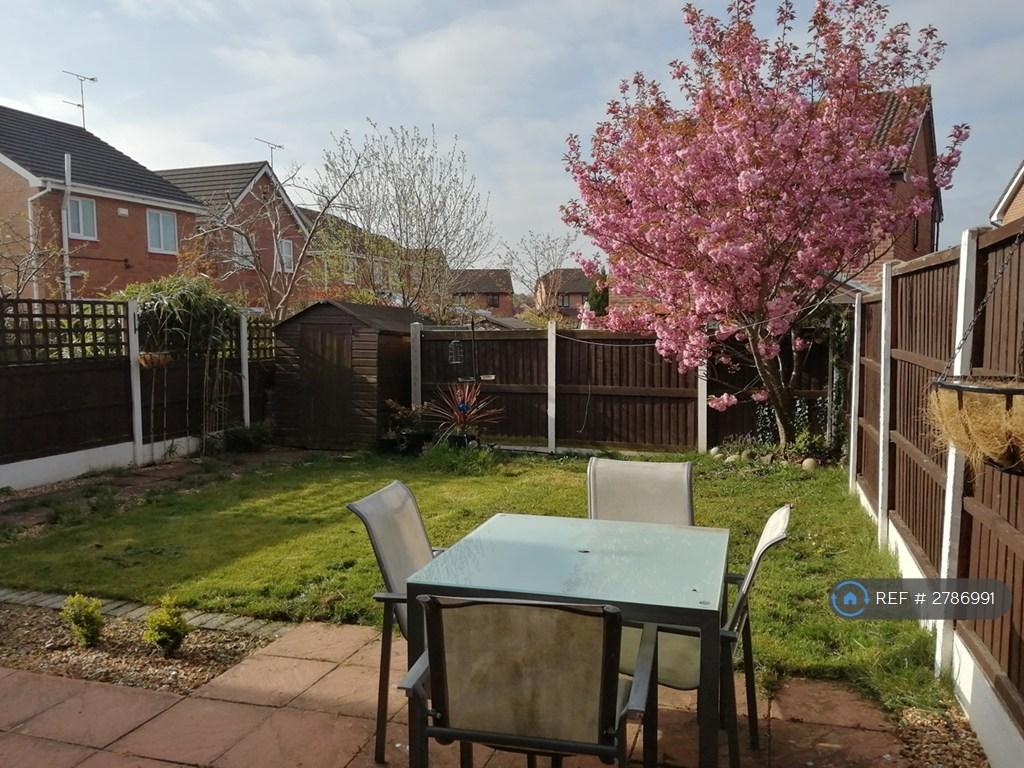Garden- Back