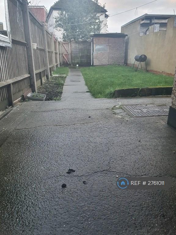 Back Garden