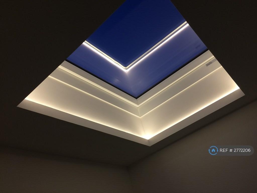 Landing Skylight /Night